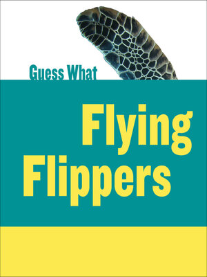 cover image of Flying Flippers: Sea Turtle